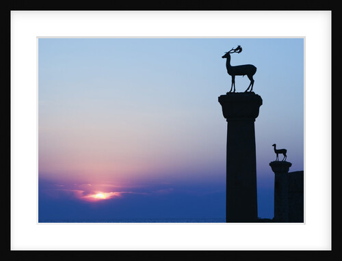 Stag Column by Anonymous