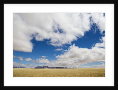 Sky over Savanna by Anonymous