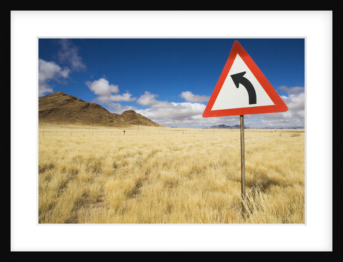 Traffic Sign on Overgrown Road by Anonymous