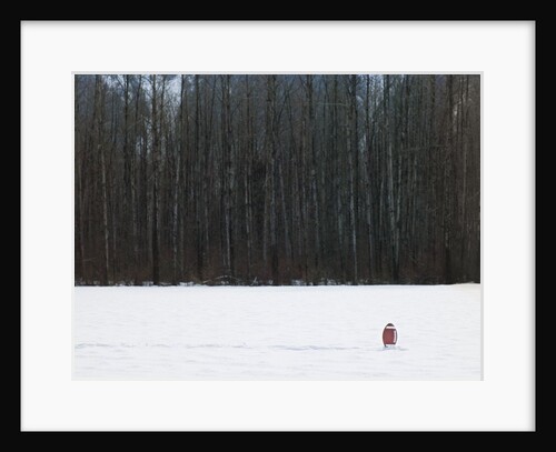 Football in Snow Covered Field by Anonymous