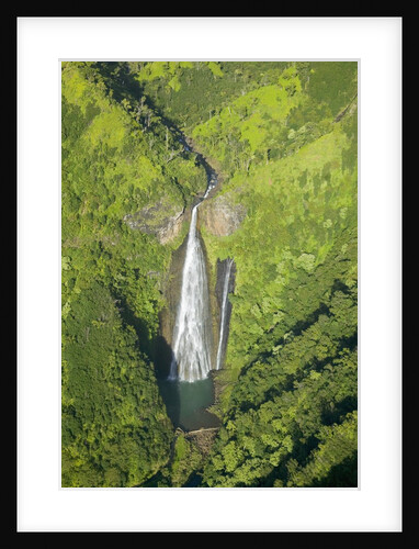 Aerial View of Waterfall in Waimea Canyon by Anonymous