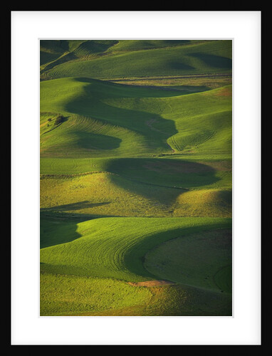 Green Hills by Anonymous