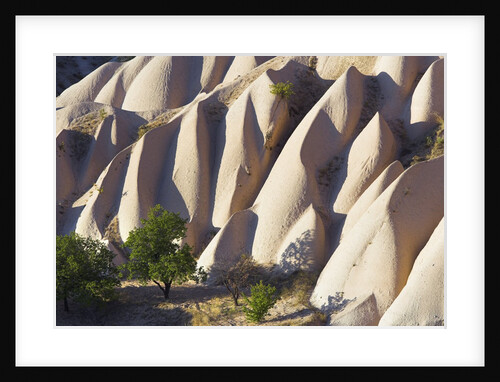 Rock Formations in Goreme Valley by Anonymous