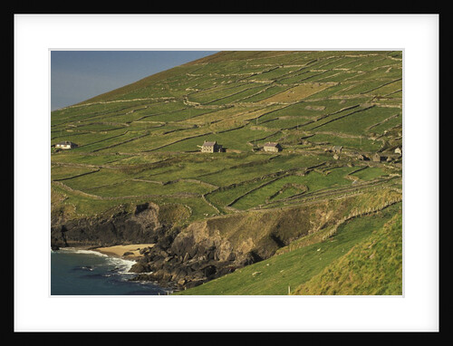 Farmhouses on Hill at Coast by Anonymous