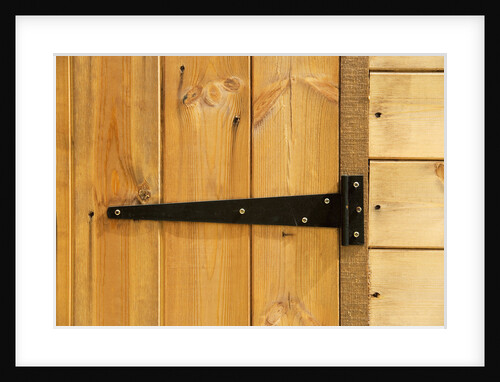 Door Hinge on Shed by Anonymous