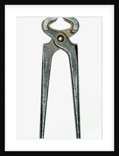 Pincers by Anonymous