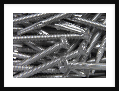 Screws by Anonymous