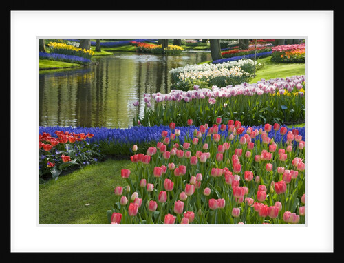 Spring Tulips by Stream by Anonymous