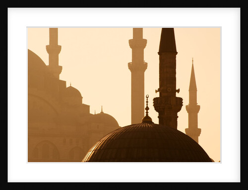 Two Mosques by Anonymous