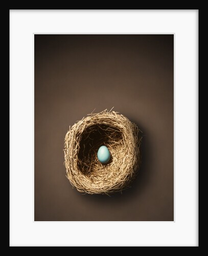 Single Egg in Nest by Anonymous