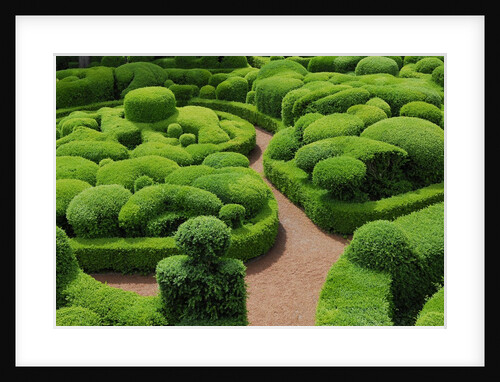 Topiary Garden at Chateau de Marqueyssac by Anonymous