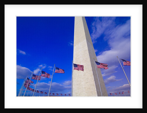 Flags Surrounding the Washington Monument by Anonymous