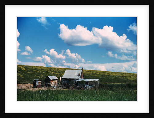 Sharecropper's Homestead by Anonymous