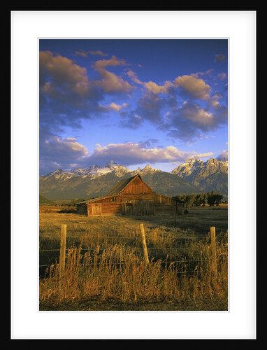 Barn in Historic Homestead Mormon Row by Anonymous