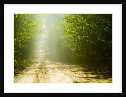 Rural Road by Anonymous