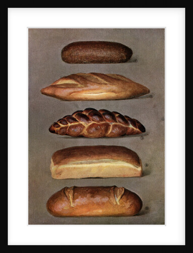 Illustration of Five Loaves of Bread by Anonymous