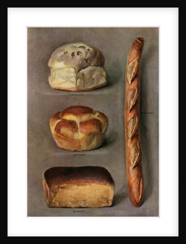 Illustration of Four Kinds of Bread by Anonymous