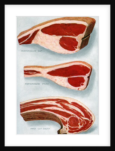 Illustration of Three Cuts of Beef by Anonymous