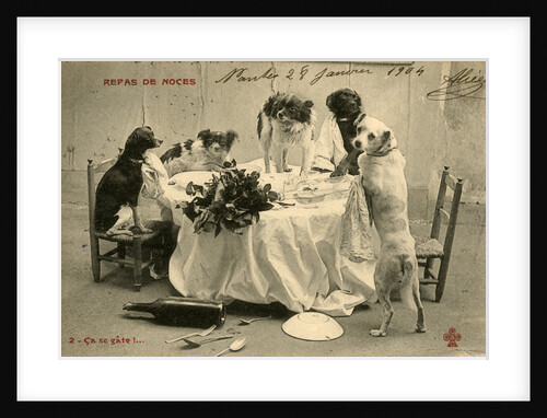 Wedding Banquet with Five Dogs Making a Mess by Anonymous