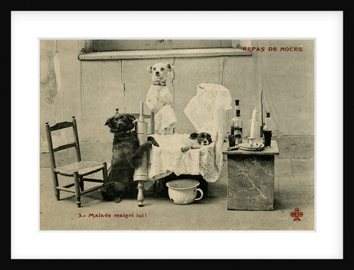 Sick Dog in Bed with Two Dogs Attending by Anonymous