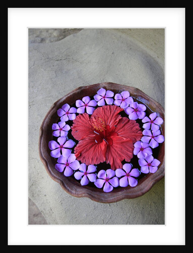 Flowers Floating in Bowl of Water by Anonymous