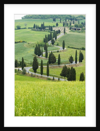 Winding Country Road by Anonymous