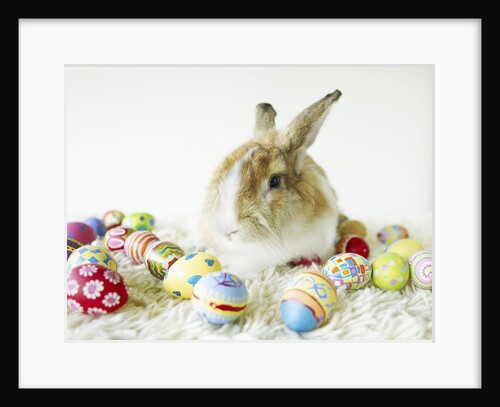 Bunny Rabbit Sitting Among Easter Eggs by Anonymous