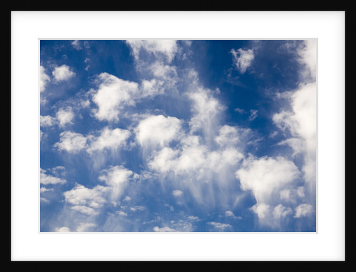Wind Swept Clouds in Blue Sky by Anonymous