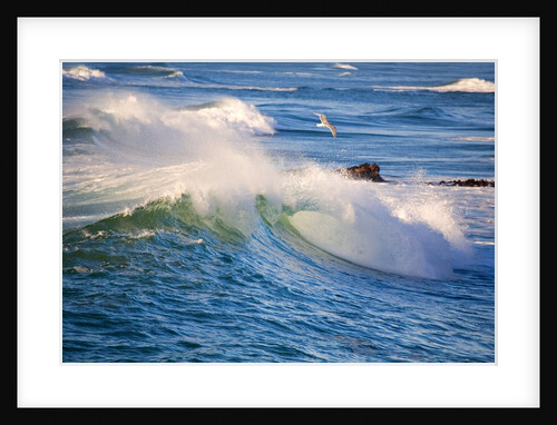 Heavy Surf off Cape Kiwanda on Oregon Coast by Anonymous