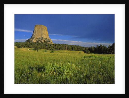 Devils Tower National Monument by Anonymous