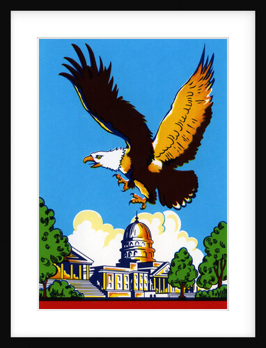 Broom label of Bald Eagle Over United States Capitol Building by Anonymous