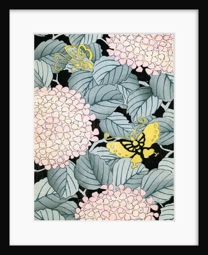 Illustration of Hydrangeas and Butterflies by Anonymous