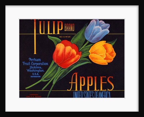 Tulip Brand Apples Fruit Crate Label by Anonymous
