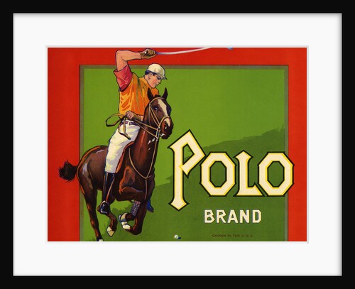 Polo Brand Fruit Crate Label by Anonymous