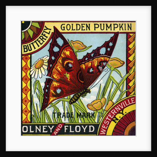 Butterfly Golden Pumpkin Product Label by Anonymous