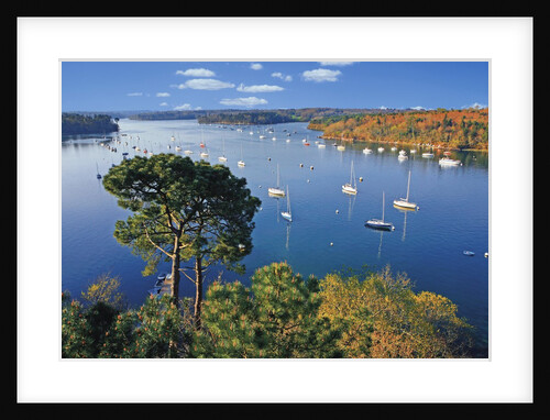 Sailboats Anchored on River by Anonymous