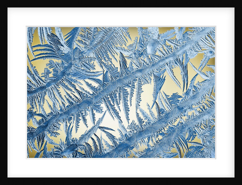 Frost on Glass by Anonymous
