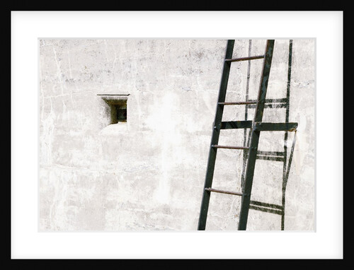 Fort Ladder 1 by David Roseburg