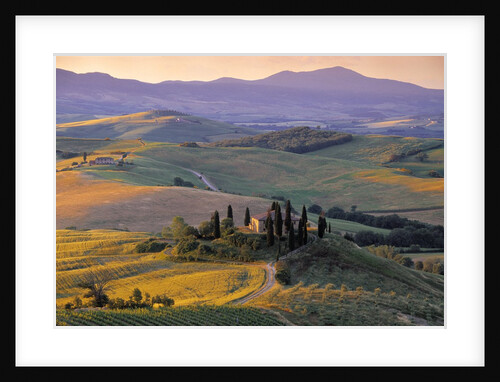 Val d'Orcia by Anonymous
