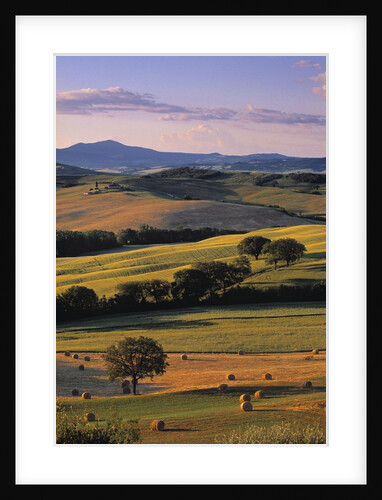 Val d'Orcia by Anonymous