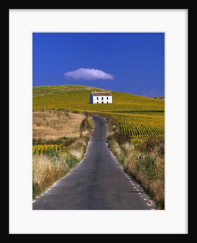 Farmhouse by Country Road by Anonymous