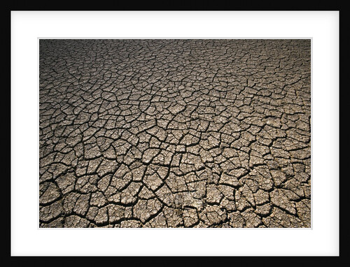Eroding Ground of Desert by Anonymous