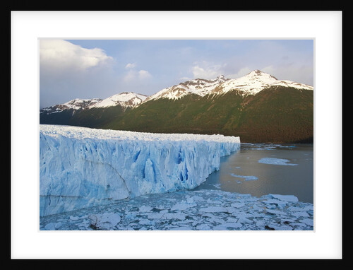 Perito Moreno Glacier in Patagonia by Anonymous