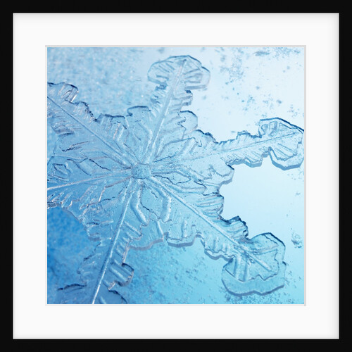 Close-Up of Snowflake by Anonymous