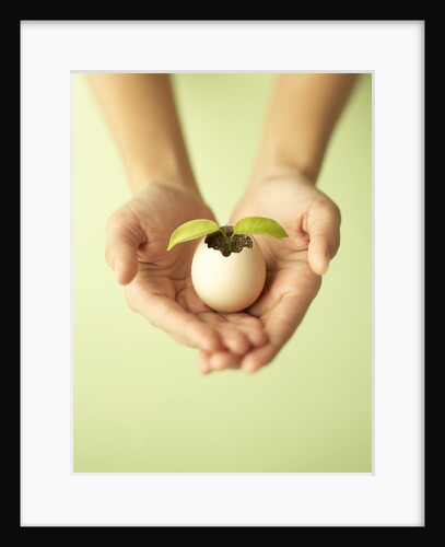 Seedling by Anonymous