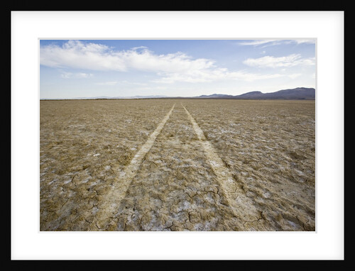 Tire Tracks Through the Desert by Anonymous