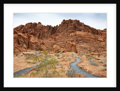 Rural Trail Through Desert by Anonymous