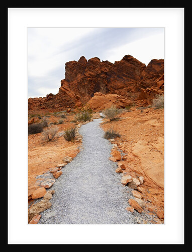 Rural Trail Through Desert by Anonymous