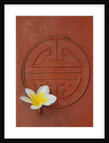 Long Life Symbol and Lotus Flower by Anonymous