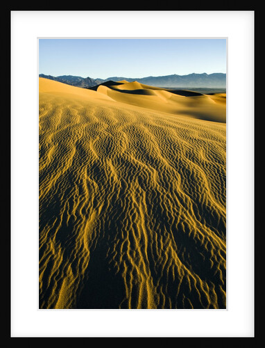 Ripples in Sand by Anonymous